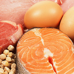 Hrana bogata visoko kvalitetnim proteinima Hrana bogata visoko kvalitetnim proteinima