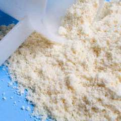 Whey protein Whey protein