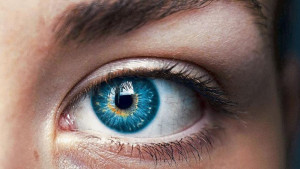 Namirnice koje poboljšavaju očno zdravlje