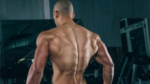 Četiri grupe mišića koje formiraju V-oblik tijela i ključne vježbe za njihov razvoj