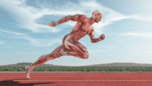Zbog čega je redovno izvođenje sprinteva jedan od najefikasnijih načina vježbanja?
