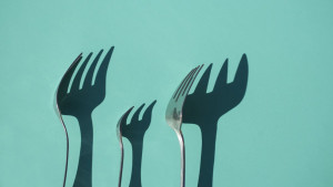 Efikasna dijeta bazirana na unosu proteina