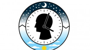 Biološki sat i unutarnji organi ljudskog tijela