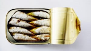 Da li su sardine dobre za vas?