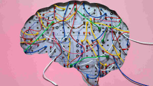 Trening mozga: Zanimljive aktivnosti koje jačaju um 