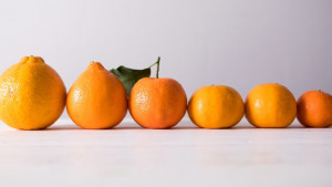 Zdrava jetra, sjajnija koža i bolja probava: Koje su zdravstvene prednosti mandarina?