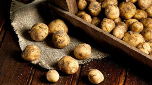 Najskuplji krompir na svijetu: Samo 1 kg košta više od 500 eura