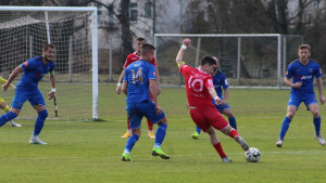 Poznati sastavi Krupe i Mladosti