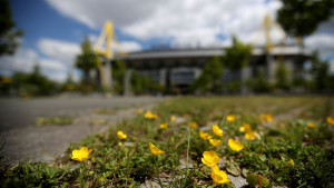 Veliki derbi za proslavu povratka Bundeslige!