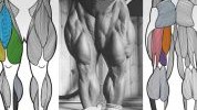 Tom Platz savjetuje: 4 najbolje vježbe za noge