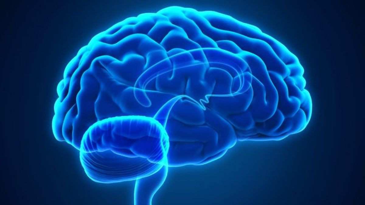 Kako poboljšati rad mozga