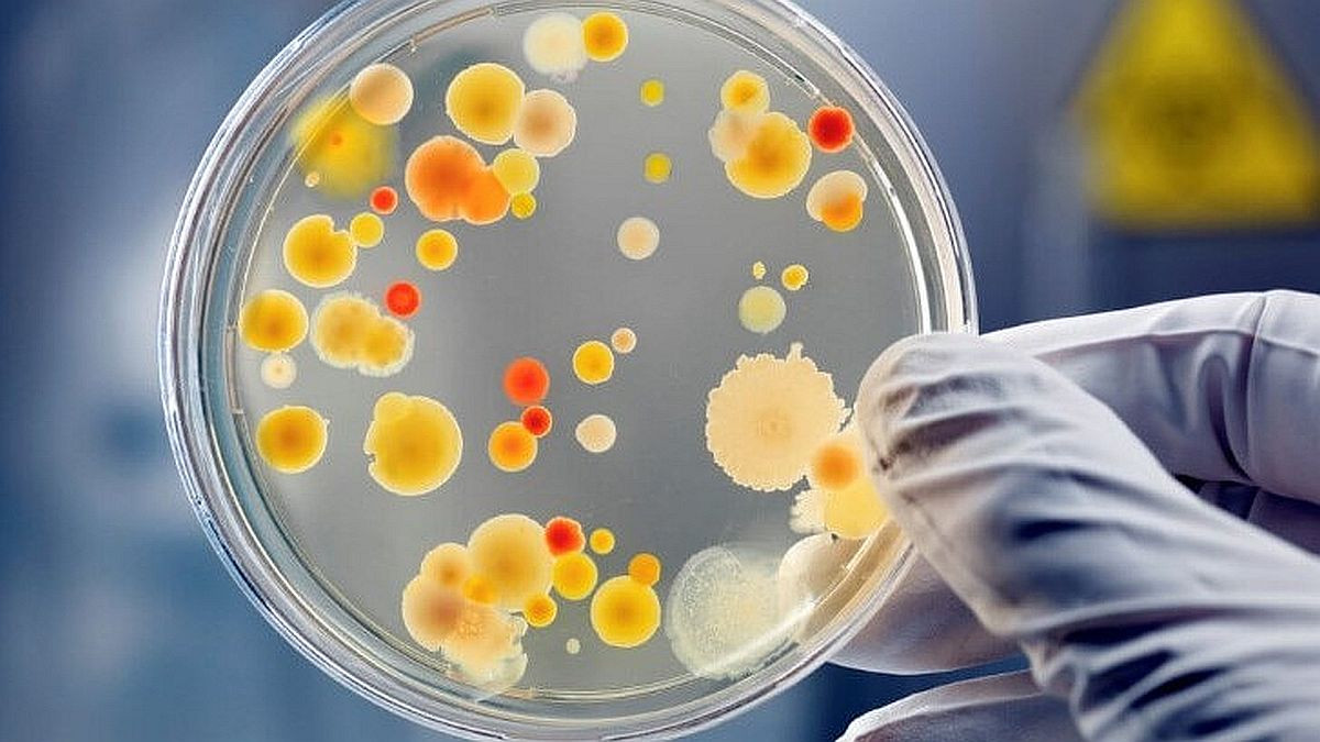 Opasne bakterije koje se mogu nalaziti u hrani