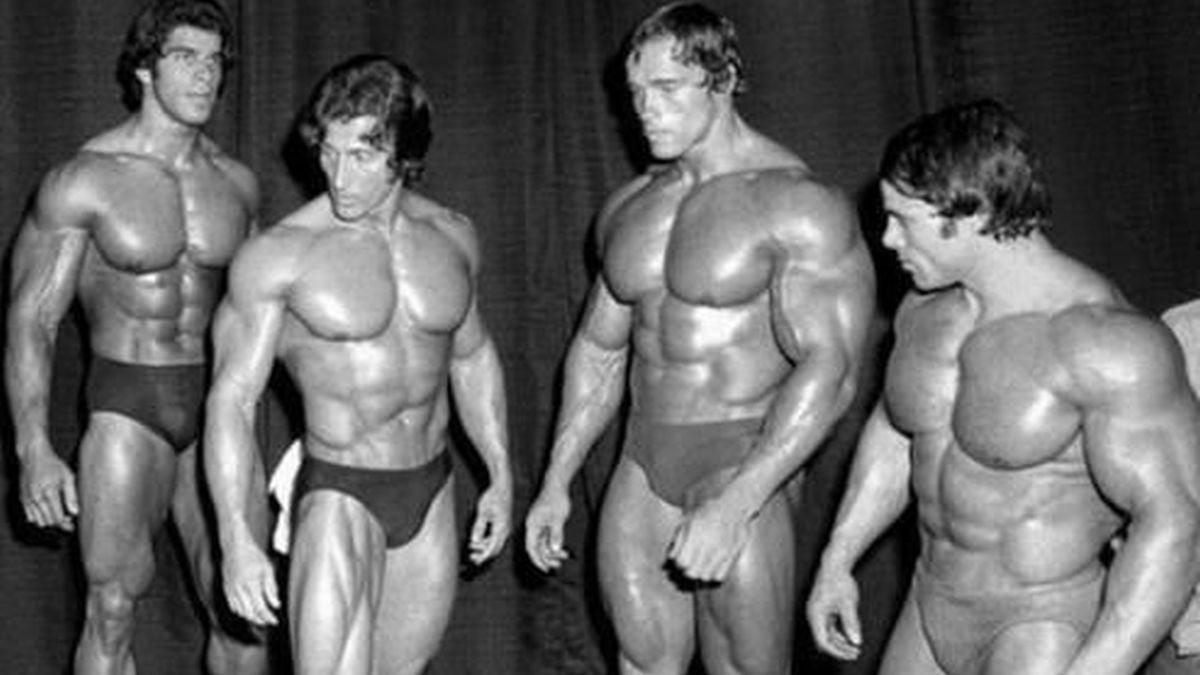 Kakvim trening programom su trenirali Schwarzenegger, Zane i ostale legendarne kolege? Kakvim trening programom su trenirali Schwarzenegger, Zane i ostale legendarne kolege?