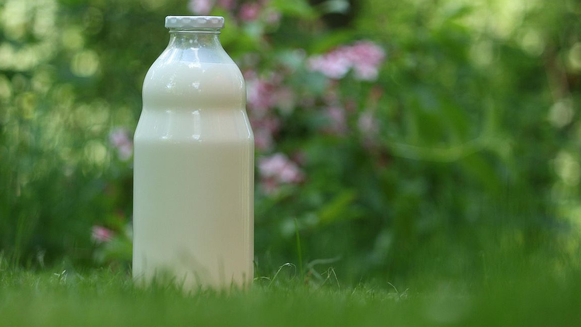 Da li je mlijeko zdravo? Koje mlijeko piti?