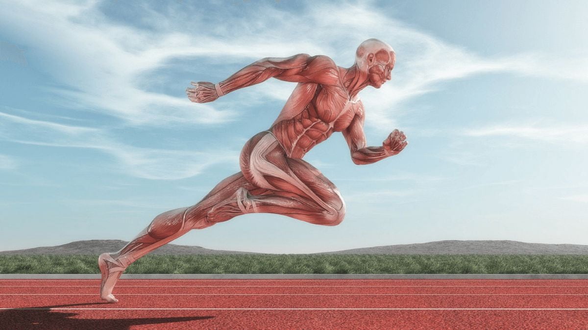 Zbog čega je redovno izvođenje sprinteva jedan od najefikasnijih načina vježbanja? Zbog čega je redovno izvođenje sprinteva jedan od najefikasnijih načina vježbanja?