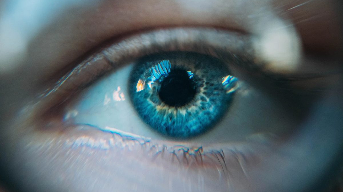 Kako funkcionišu oči i kako se formira vid?