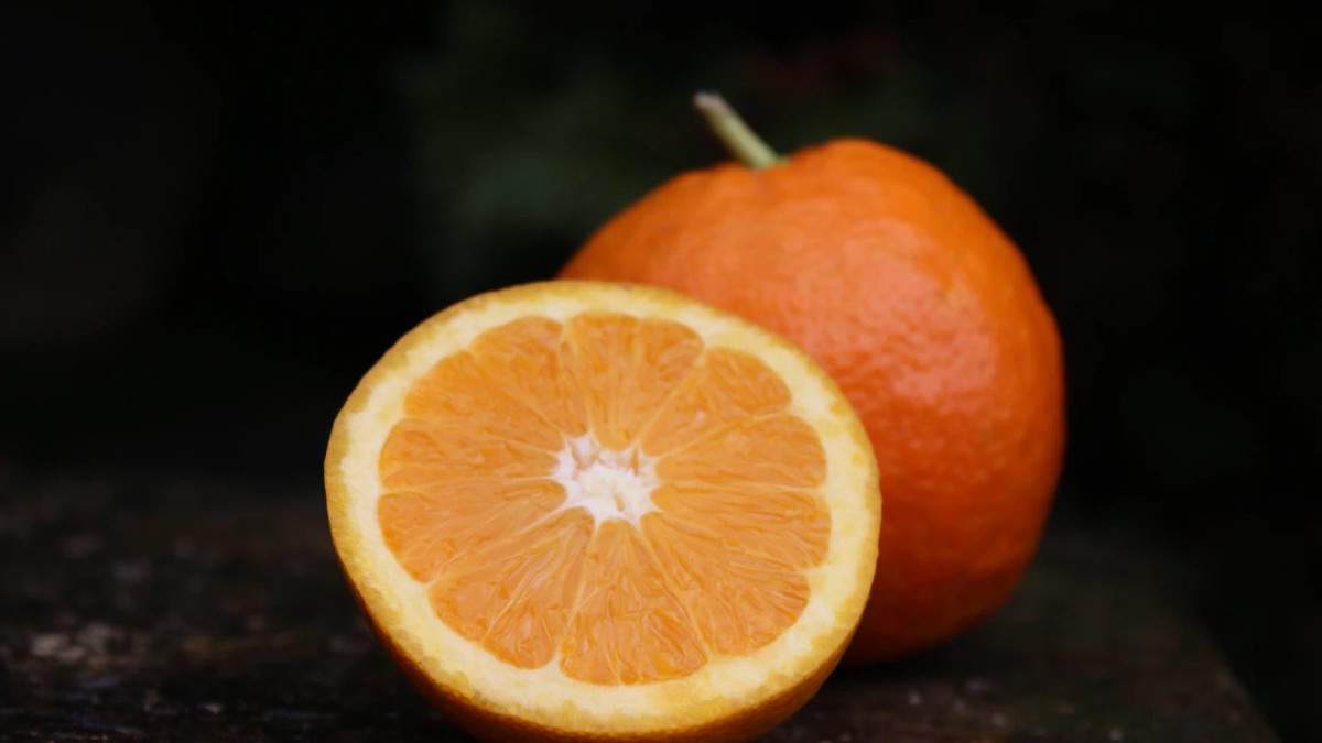 Naranča kao elikser mladosti i zdravlja