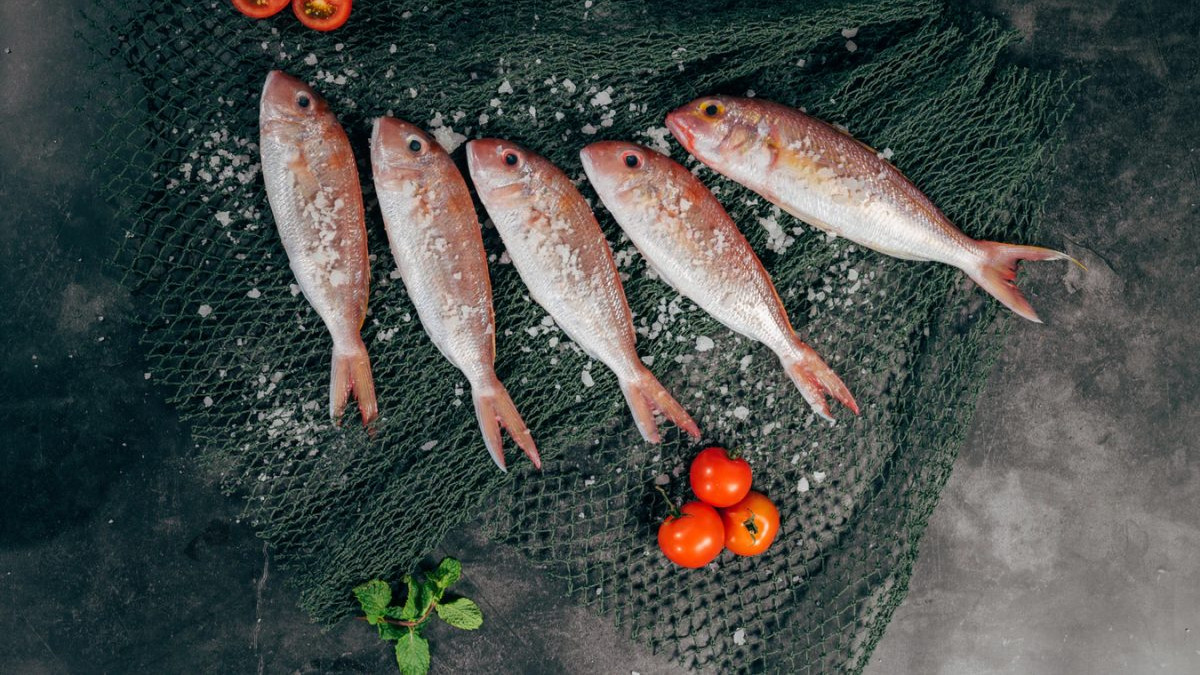 Riba - najzdravije meso: Devet razloga zašto jesti