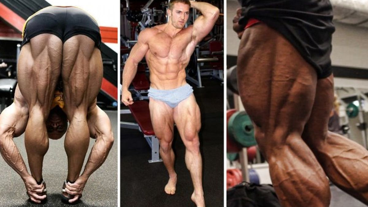 Da li trening nogu zaista povećava nivoe testosterona? Da li trening nogu zaista povećava nivoe testosterona?