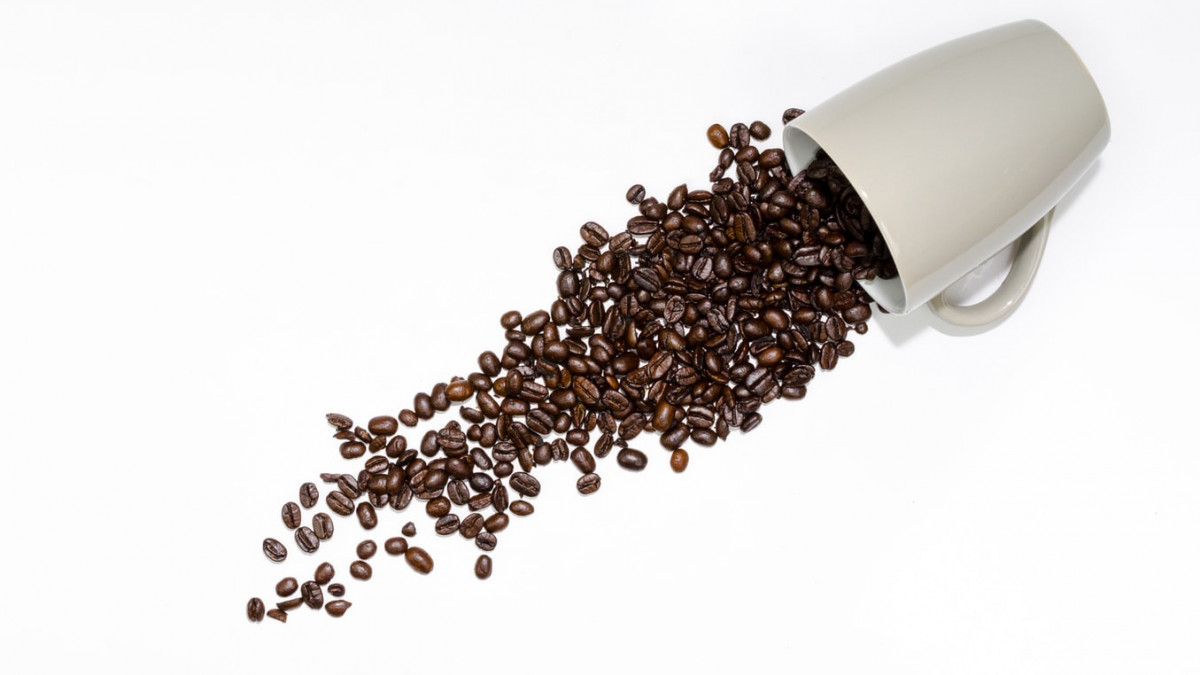 Ne prosipajte talog od kafe! Ne prosipajte talog od kafe!