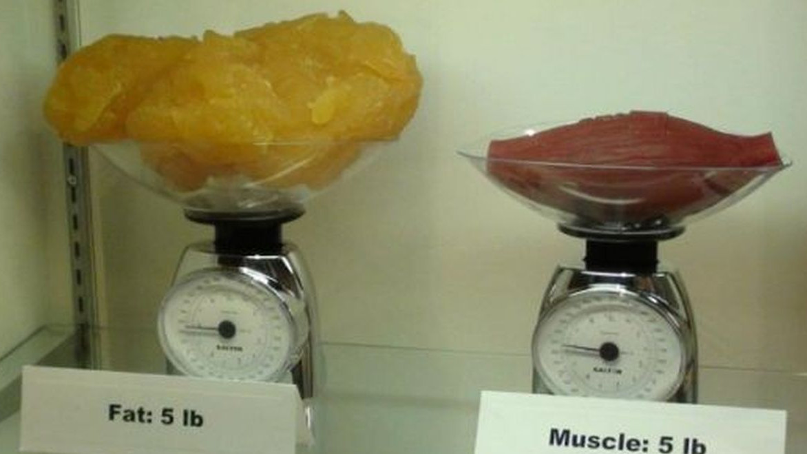 Kilogram sala ili kilogram mišića - Šta je veće?
