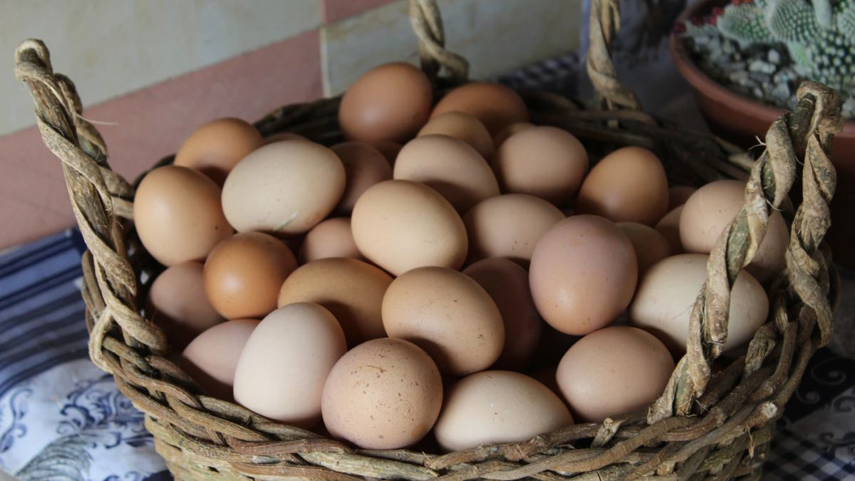Jaje - Namirnica puna zdravlja