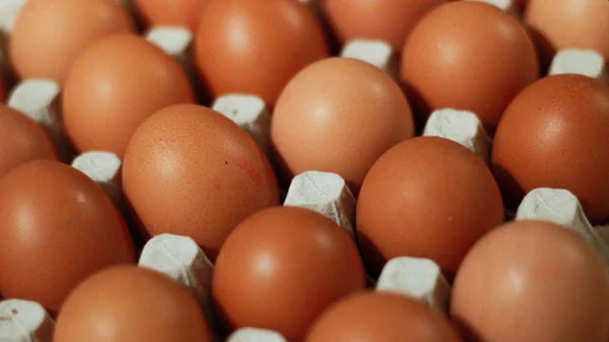 Jednostavan trik: Otkrijte koliko je staro jaje