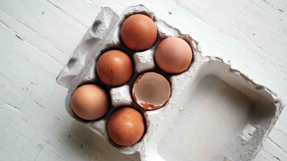 Da li boja jajeta označava i kvalitet?