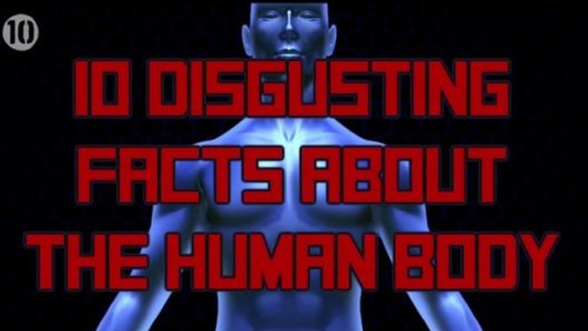 Čudne činjenice o ljudskom tijelu