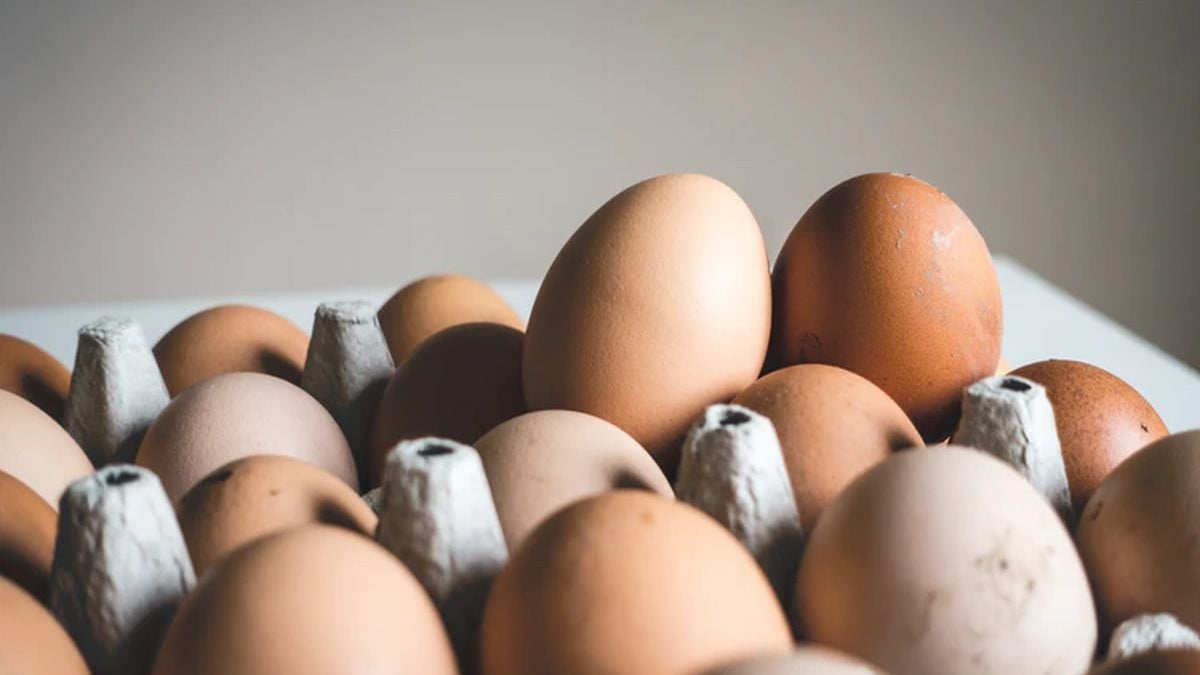 Svaki dan tri jajeta: Da li bi to bilo zdravo? Svaki dan tri jajeta: Da li bi to bilo zdravo?