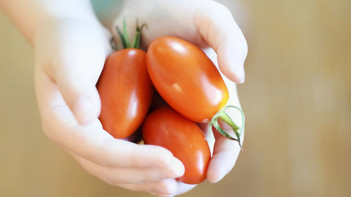 Umak od sušenog paradajza za pravilan rad srca
