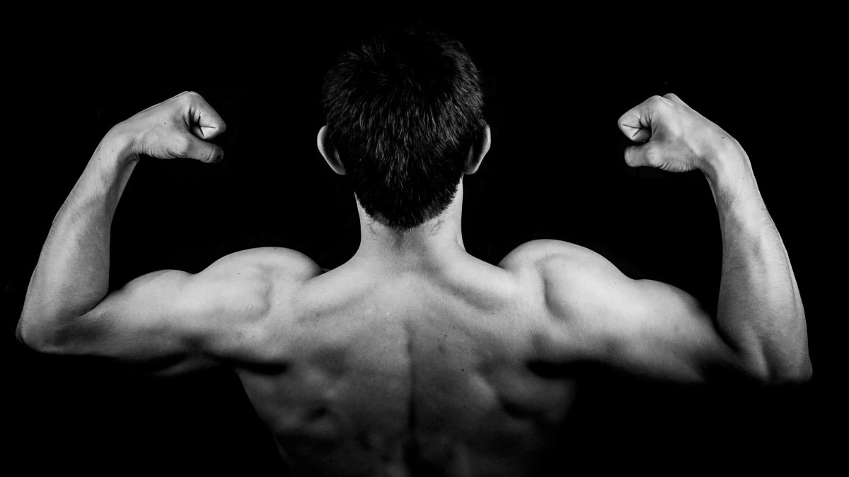 Kako povećati mišićnu masu?