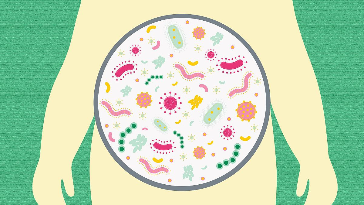 Nekoliko načina za poboljšanje crijevnih bakterija