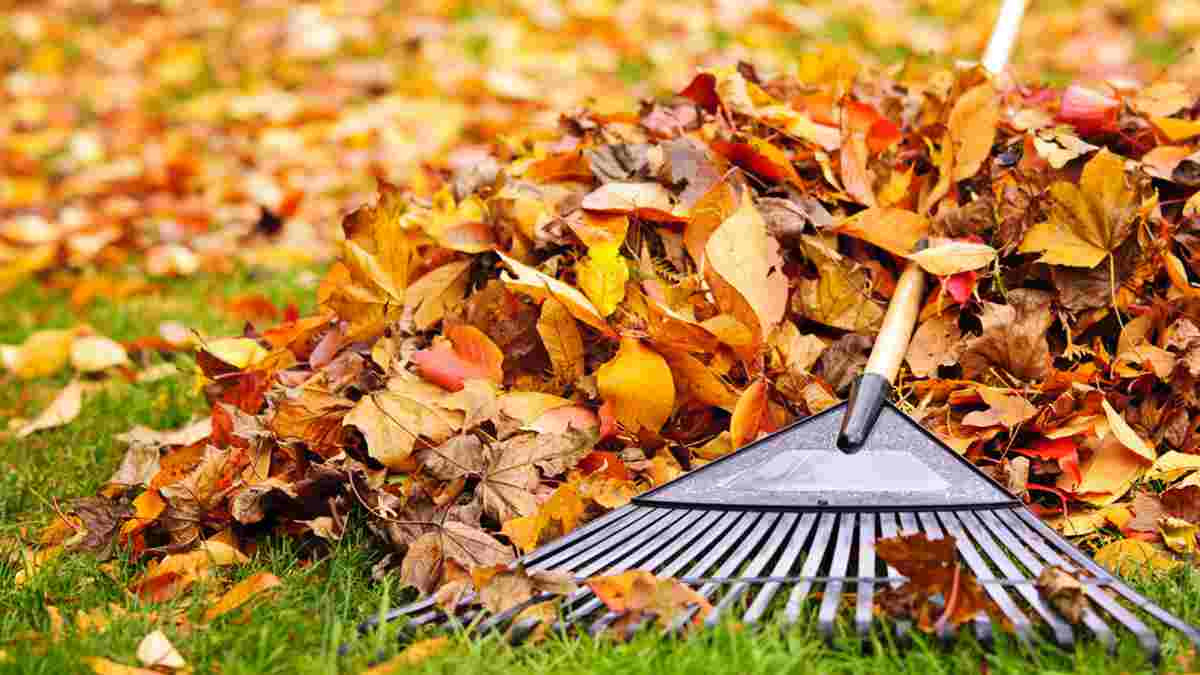 Zdrave jesenje aktivnosti u kojima možete uživati