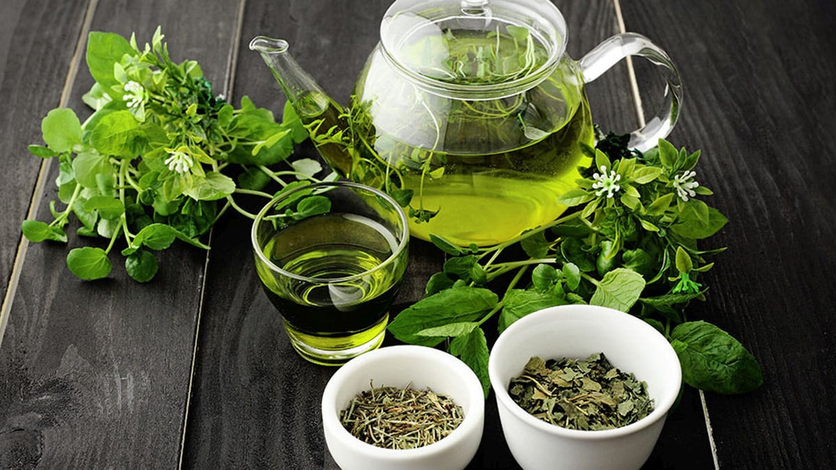 Kako pripremiti zeleni čaj i kada ga je najbolje piti?