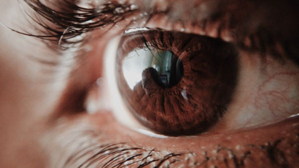 Koliko vode se nalazi u pojedinim dijelovima ljudskog tijela?