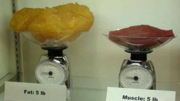 Kilogram sala ili kilogram mišića - Šta je veće?