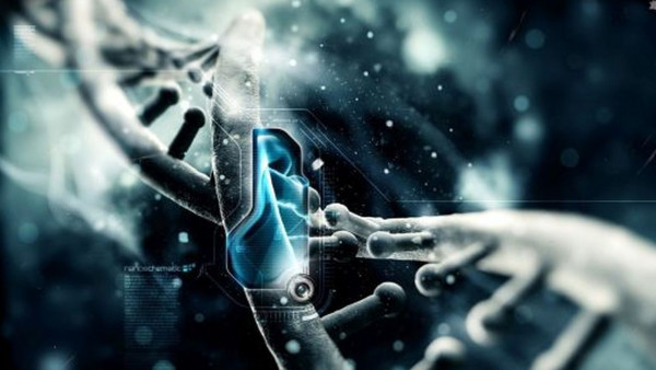 Mišićna memorija je rezultat promjene u DNK