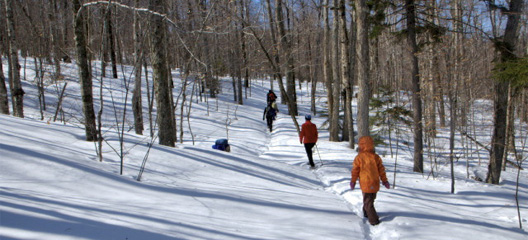 Pješačenje po snijegu