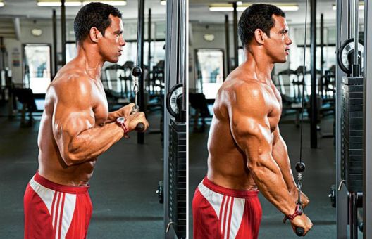 Zlatne vježbe za razvoj ogromnih ruku