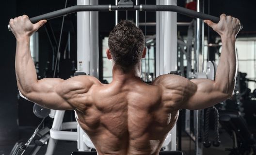 11 najboljih sprava za izgradnju mišića