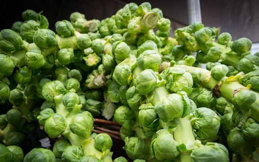 10 namirnica uz koje ćete izgubiti višak kilograma 10 namirnica uz koje ćete izgubiti višak kilograma