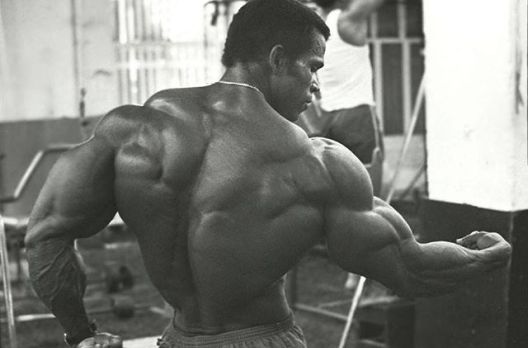 Isklesani do perfekcije: Zlatna era bodybuildinga