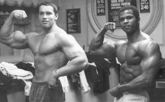 Isklesani do perfekcije: Zlatna era bodybuildinga