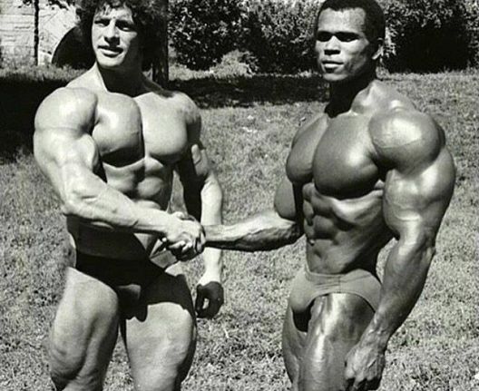 Isklesani do perfekcije: Zlatna era bodybuildinga