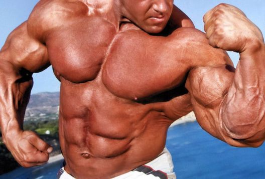 Gluposti koje će vam "znalci" reći u teretani