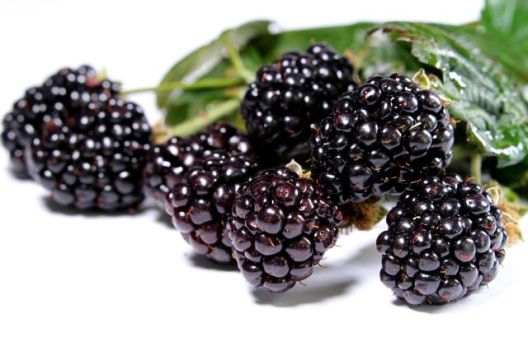 11 namirnica koje vas neće udebljati