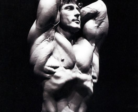 Isklesani do perfekcije: Zlatna era bodybuildinga