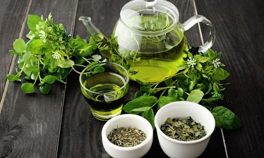 7 načina za efikasnije mršavljenje 7 načina za efikasnije mršavljenje