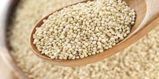 11 žitarica koje ne sadrže gluten 11 žitarica koje ne sadrže gluten